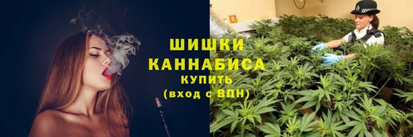 эйфоретик Богородск