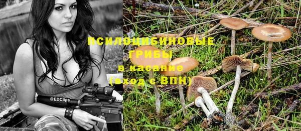 прущий лед Богородицк