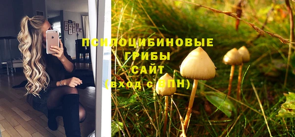 прущий лед Богородицк