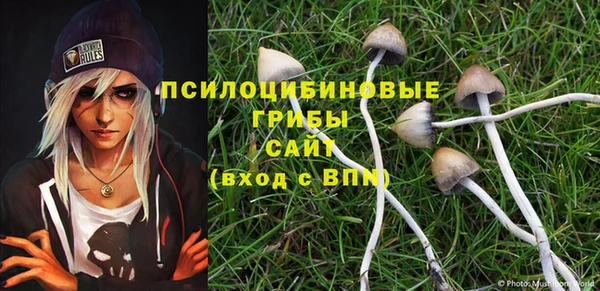 кокаин Богданович